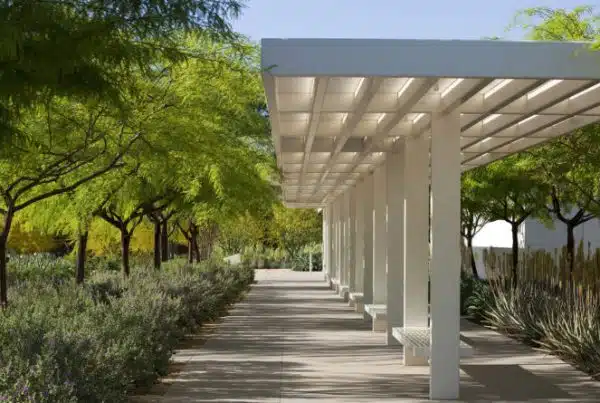 Ojb sunnylands center gardens 16