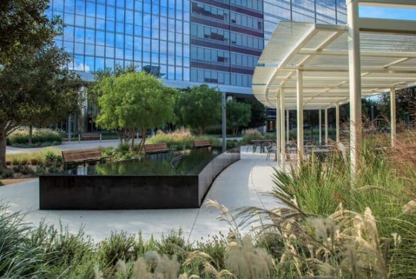 Ojb la jolla commons 07