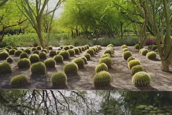 2017 Sunnylands Great Gardens 1