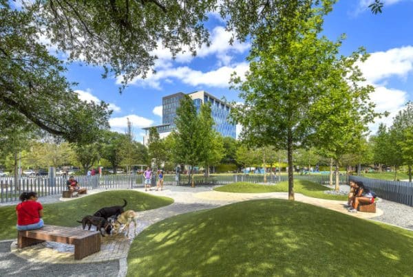 Ojb levy park houston 24