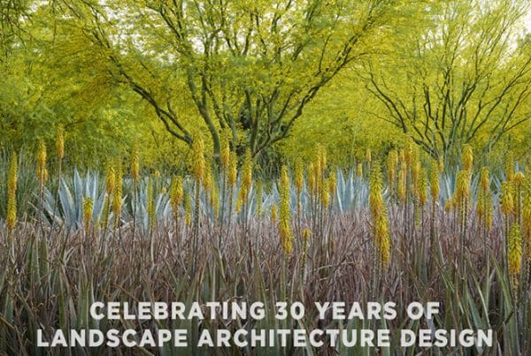 Sunnylands 30thPost Header