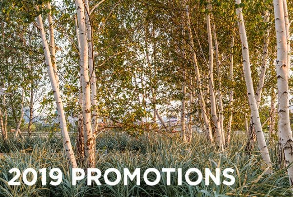 2019 Promotions
