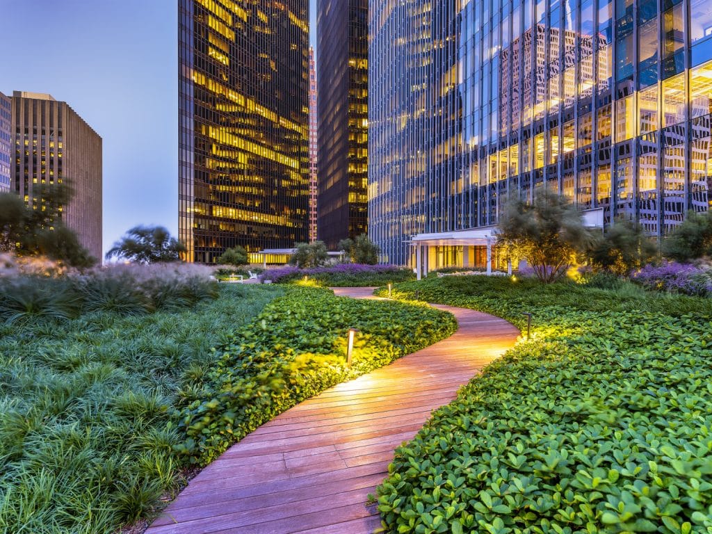 Bank of America Tower - Roof Garden - Houston, TX 102219 Bank of America Tower Roof Garden Houston, TX 102219