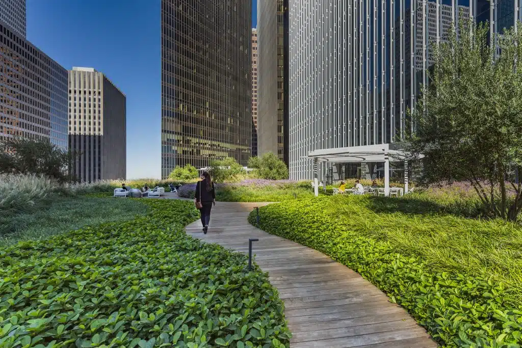 Bank of America Tower - Roof Garden - Houston, TX 102219 Bank of America Tower Roof Garden Houston, TX 102219