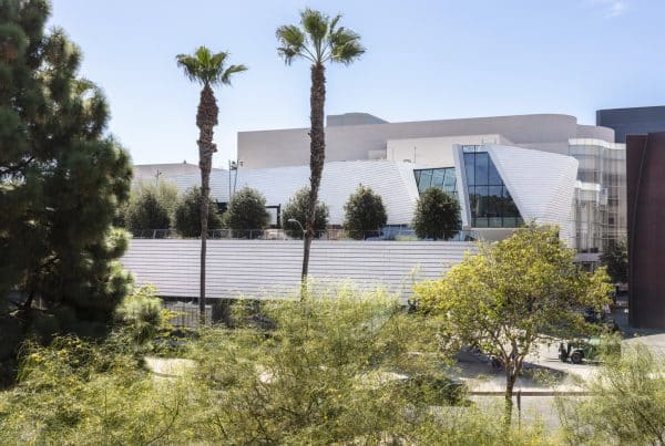 OC_MOA_N8_medium