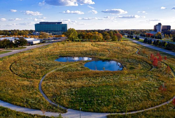 Arjay_Miller_Arboretum_at_Ford_World_Headquarters