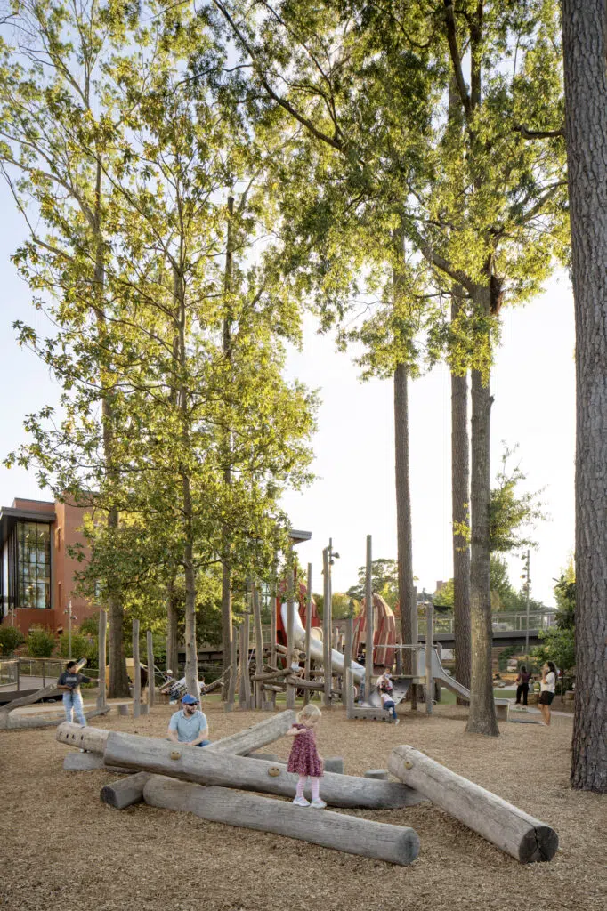 Cary DTP Landscape 23