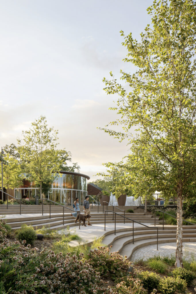 Cary DTP Landscape 7