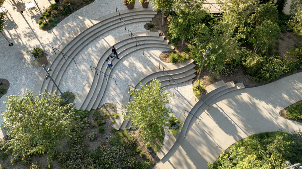 Cary DTP Landscape 8